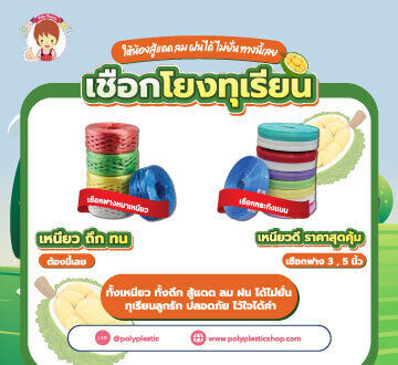 เชือกโยงทุเรียน ให้น้องสู้แดด ลม ฝน ได้ไม่ยั่น ทางนี้เลย

- เหนียว ถึก ทน ต้องนี่เลย เชือกกระทิงแบน 
- หรือเหนียวดี ราคาสุดคุ้ม จัดเชือกฟาง 5 นิ้วหรือ 3 นิ้วไปเลย

ทั้งเหนียว ทั้งถึก สู้แดด ลม ฝน ได้ไ